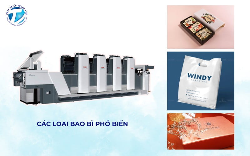 Một số loại bao bì phổ biến 